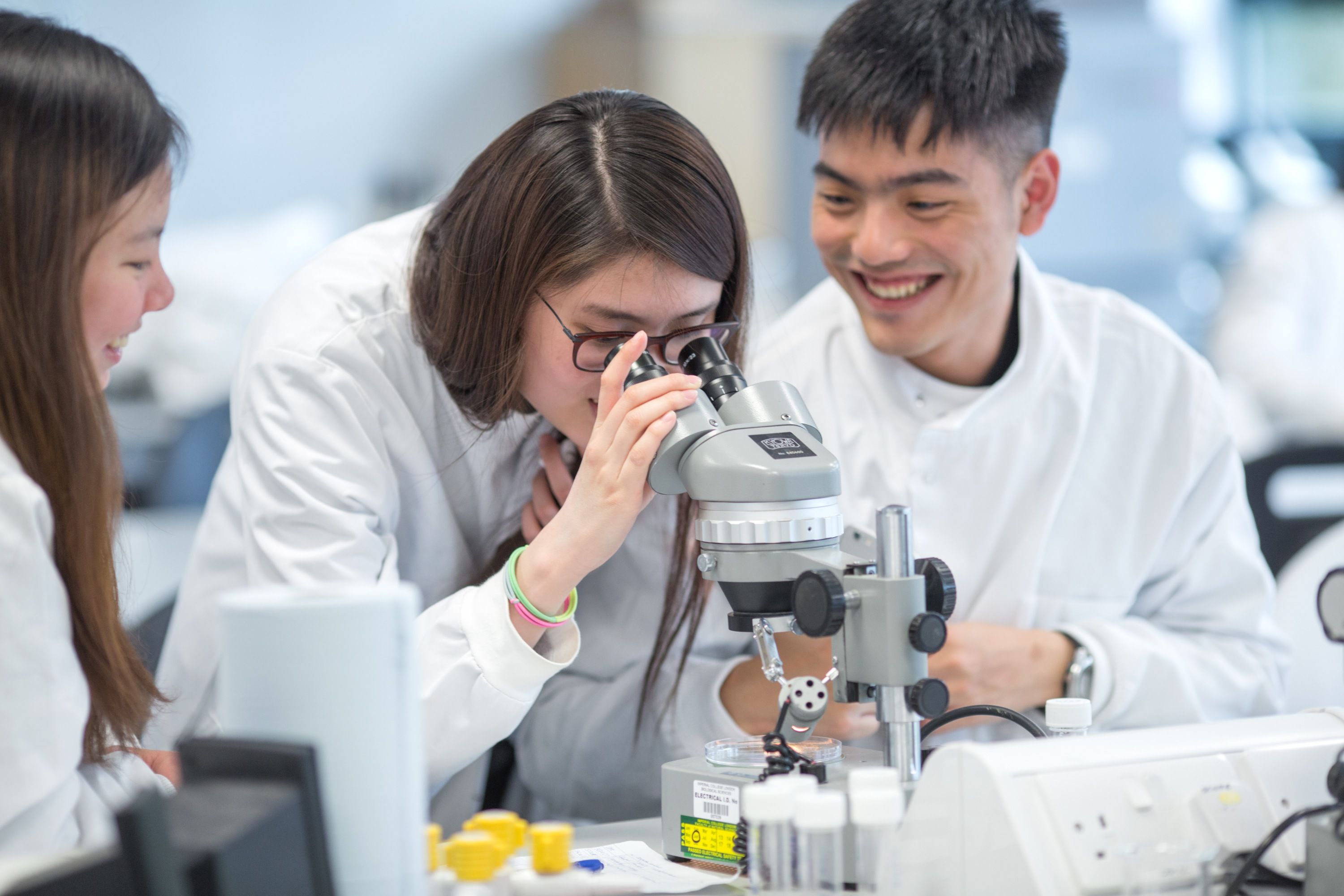 BSc Biological Sciences
