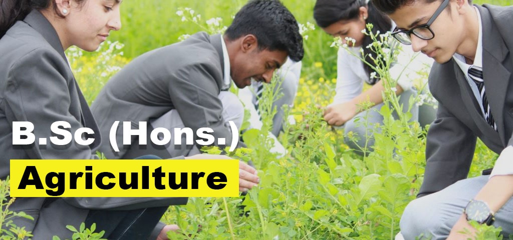 BSc Agriculture